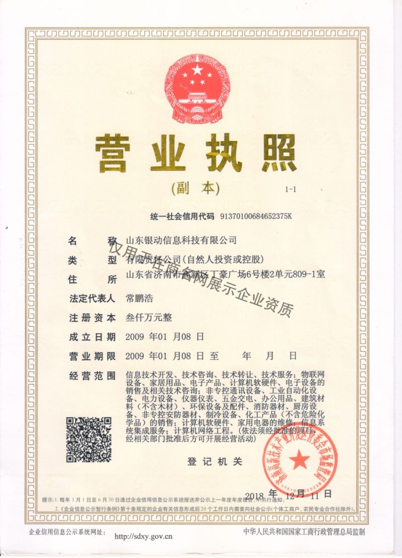 山東盛潤建設(shè)集團(tuán) 企業(yè)資質(zhì)與信息技術(shù)咨詢服務(wù)概覽