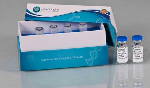 義翹神州以研發(fā)驅(qū)動(dòng)業(yè)績(jī)快速成長(zhǎng),產(chǎn)品深受國際認(rèn)可 需求旺盛